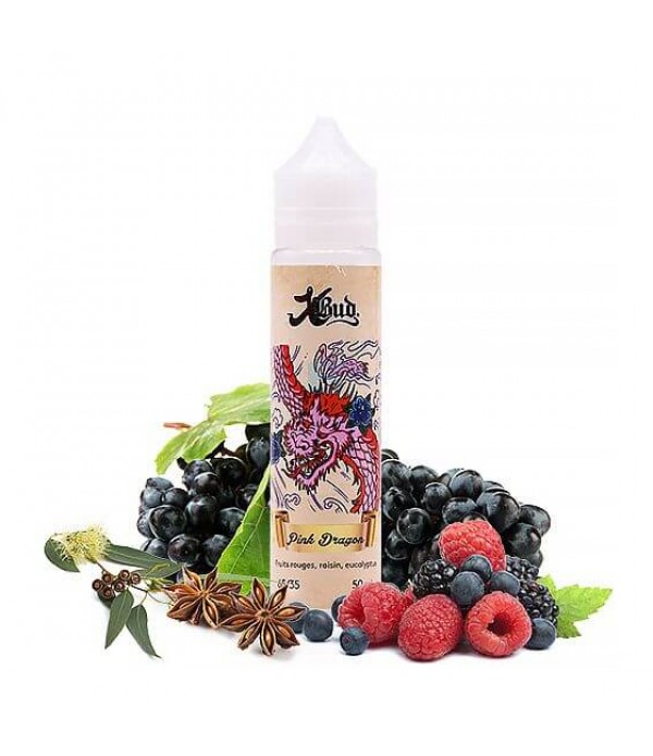 E-liquide Pink Dragon 50 mL - Xbud (Liquideo)