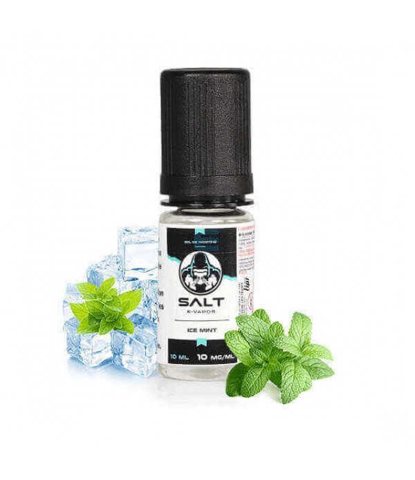 E-liquide Ice Mint 10 mL - Salt E-Vapor (Le French...