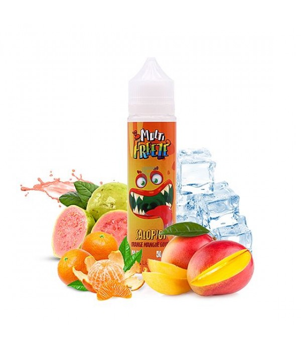 E-liquide Salopiot 50 mL - Multi Freeze (Liquideo)