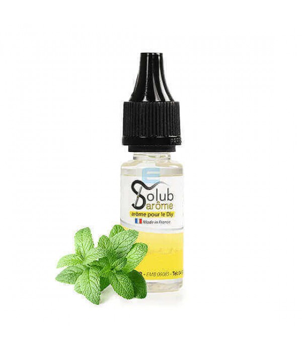 Arôme Menthe Poivrée 10 mL - Solubarome